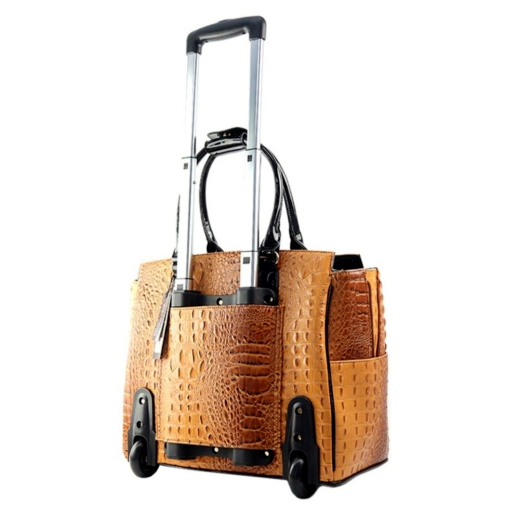 Rolling Bag - image 4